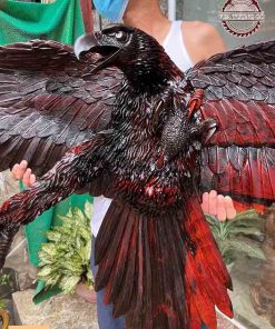 Tượng chim đại bàng gỗ trắc TTQH02