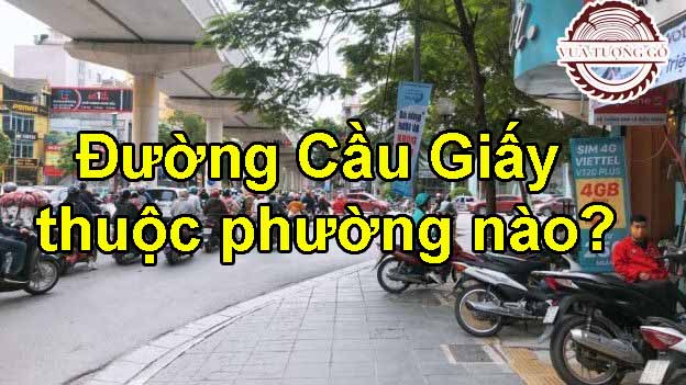 Đường Cầu Giấy thuộc phường nào