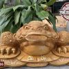 Tượng Cóc Thiềm thừ ngậm kim tiền gỗ xá xị (gù hương) TCNT06