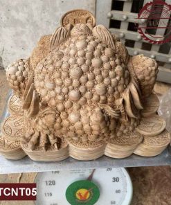 Tượng Cóc ngậm kim tiền gỗ ngọc am TCNT05