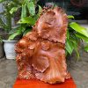 Tượng cá xiêm gỗ hương Việt kèm kỷ TCC02 2 Tượng cá xiêm gỗ hương Việt kèm kỷ TCC02