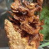 Tượng Đạt Ma Múa Võ Gỗ Ngọc Am TĐM10 2 Tượng Đạt Ma Múa Võ Gỗ Ngọc Am TĐM10