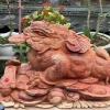 Tượng Cóc Ngậm Tiền Bằng Gỗ Hương Ta TCNT08 4 Tượng Cóc Ngậm Tiền Bằng Gỗ Hương Ta TCNT08