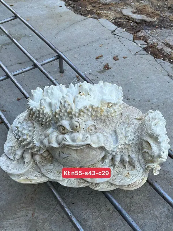 Tượng Cóc Thiềm Thừ Gỗ Nu Nghiến TCNT10 5 Tượng Cóc Thiềm Thừ Gỗ Nu Nghiến TCNT10